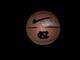 Hubert Davis Signed North Carolina Tar Heels Nike Basketball Head Coach Unc Jsa