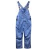 Wes And Willy Mens College Lightweight Fashion Overalls